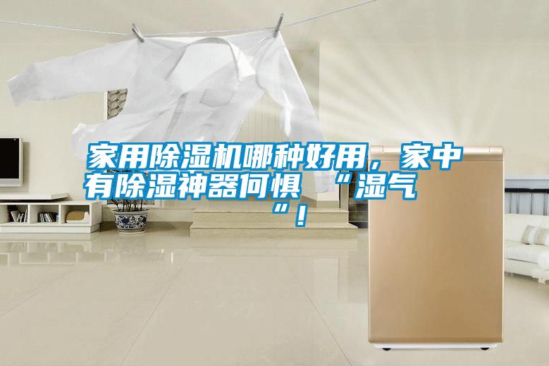 家用除濕機哪種好用，家中有除濕神器何懼 “濕氣 “！