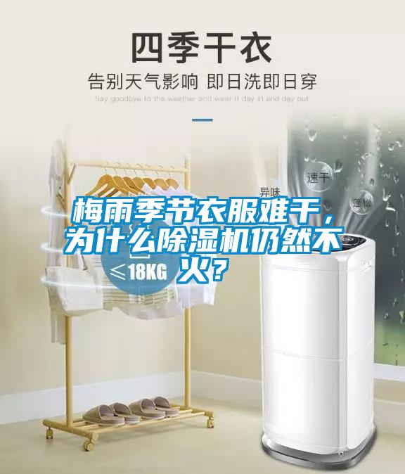 梅雨季節(jié)衣服難干，為什么除濕機(jī)仍然不火？