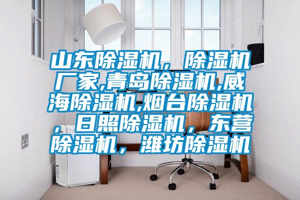 山東除濕機(jī)，除濕機(jī)廠家,青島除濕機(jī),威海除濕機(jī),煙臺(tái)除濕機(jī)，日照除濕機(jī)，東營(yíng)除濕機(jī)，濰坊除濕機(jī)