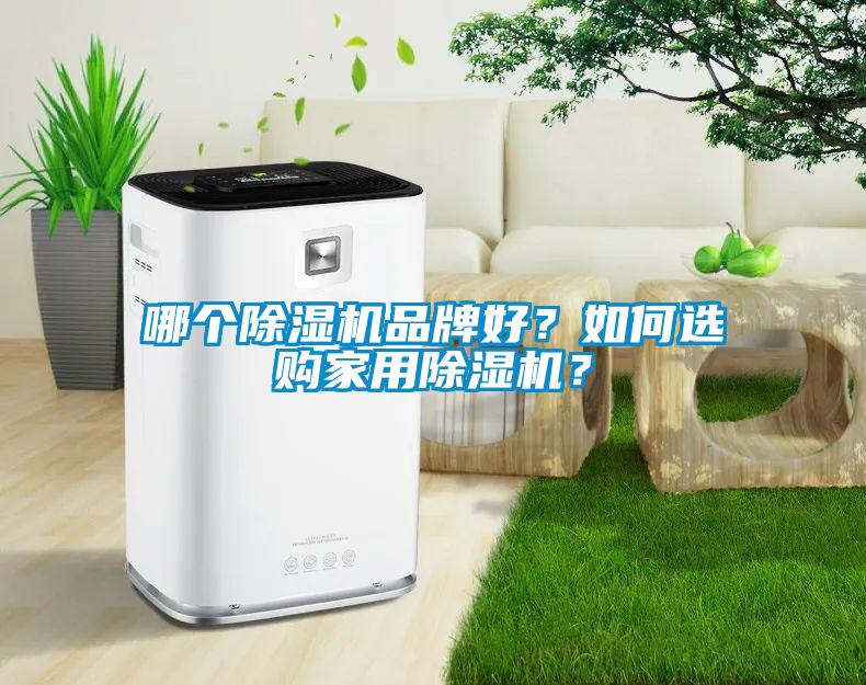 哪個(gè)除濕機(jī)品牌好？如何選購(gòu)家用除濕機(jī)？