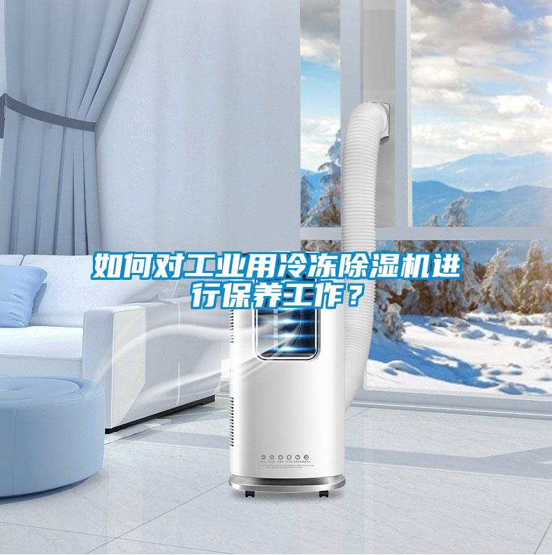 如何對工業(yè)用冷凍除濕機進行保養(yǎng)工作？