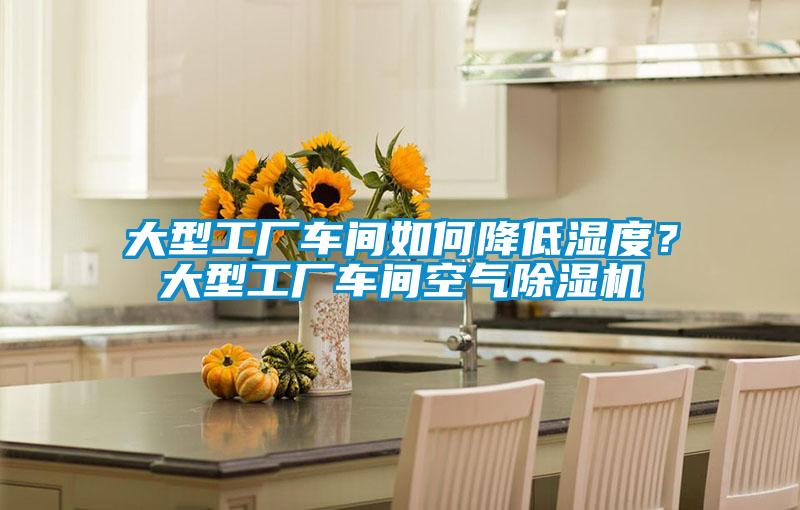 大型工廠車間如何降低濕度？大型工廠車間空氣除濕機(jī)