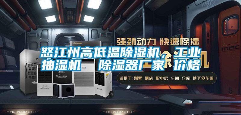 怒江州高低溫除濕機(jī)，工業(yè)抽濕機(jī)  除濕器廠家 價(jià)格