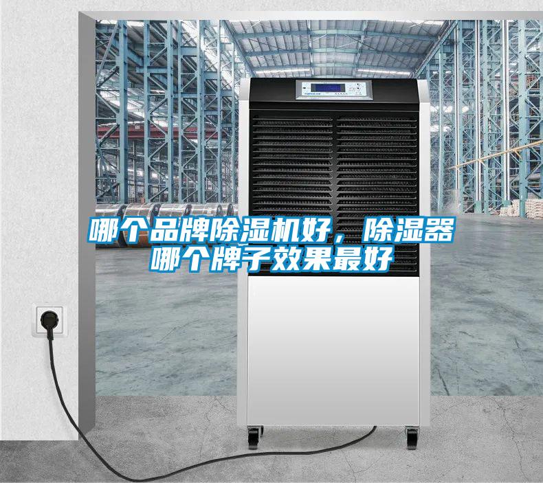 哪個(gè)品牌除濕機(jī)好,除濕器哪個(gè)牌子效果最好
