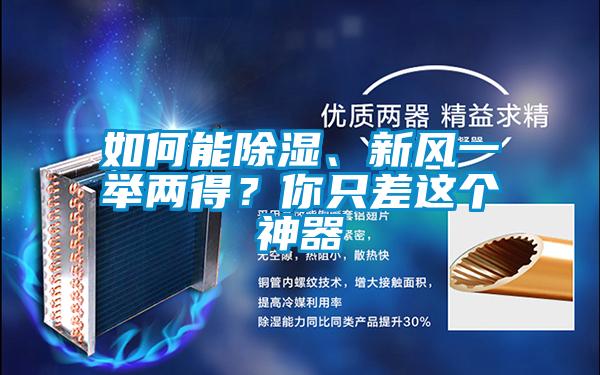 如何能除濕、新風一舉兩得？你只差這個神器
