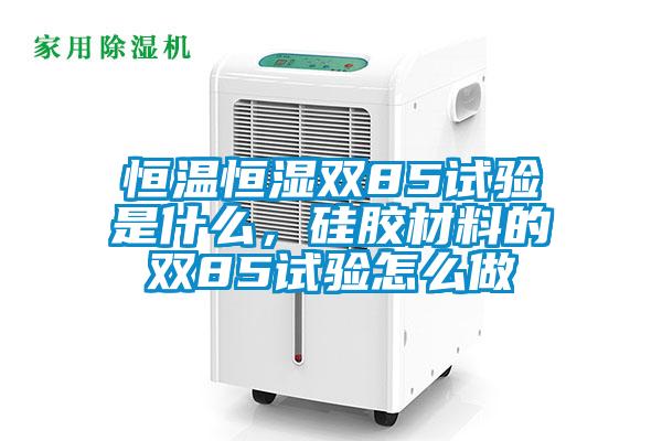 恒溫恒濕雙85試驗是什么，硅膠材料的雙85試驗怎么做
