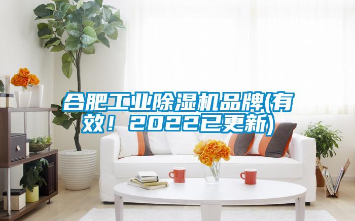 合肥工業(yè)除濕機(jī)品牌(有效！2022已更新)