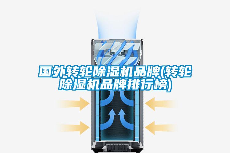 國外轉(zhuǎn)輪除濕機(jī)品牌(轉(zhuǎn)輪除濕機(jī)品牌排行榜)
