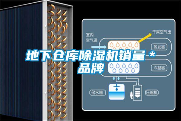 地下倉(cāng)庫(kù)除濕機(jī)銷(xiāo)量＊品牌