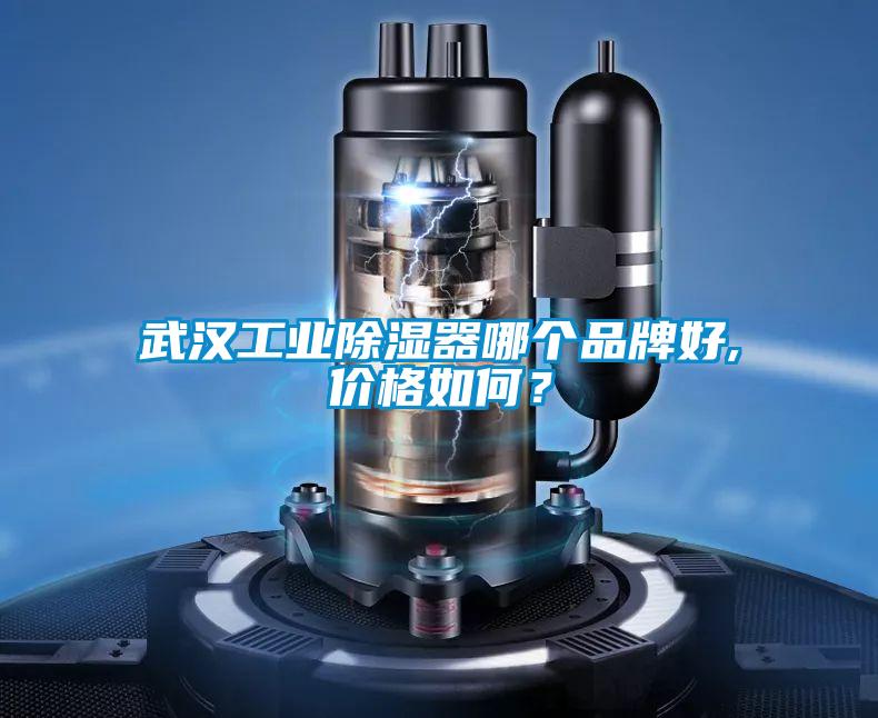 武漢工業(yè)除濕器哪個(gè)品牌好,價(jià)格如何?
