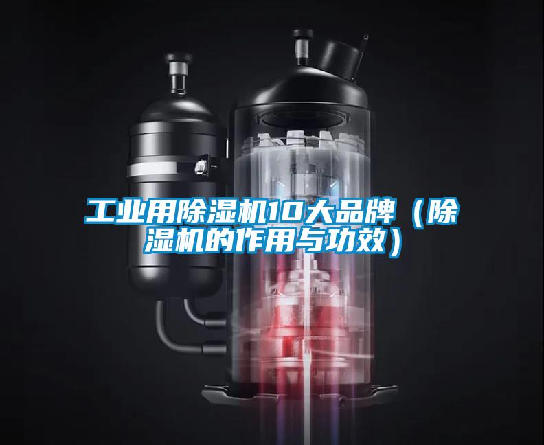 工業(yè)用除濕機10大品牌(除濕機的作用與功效)