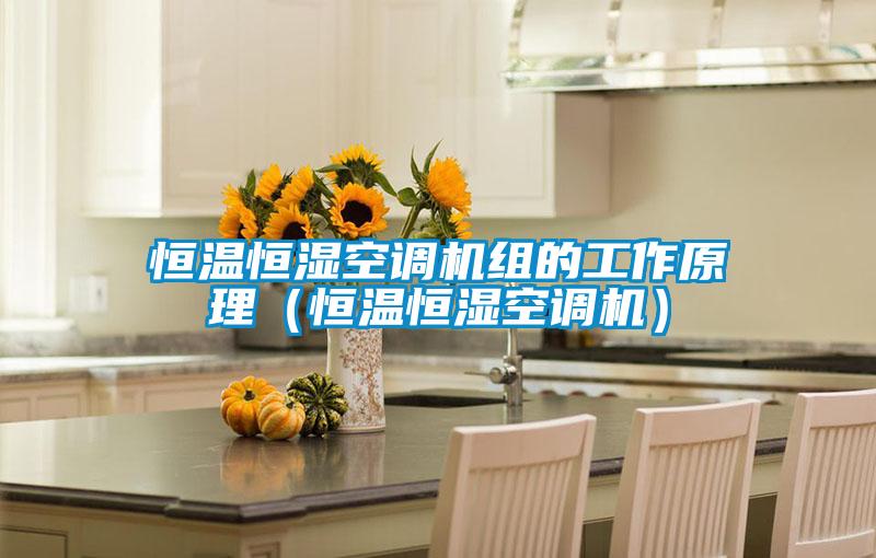 恒溫恒濕空調(diào)機(jī)組的工作原理(恒溫恒濕空調(diào)機(jī))