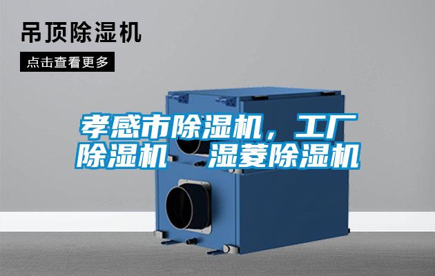 孝感市除濕機(jī)，工廠除濕機(jī)  濕菱除濕機(jī)