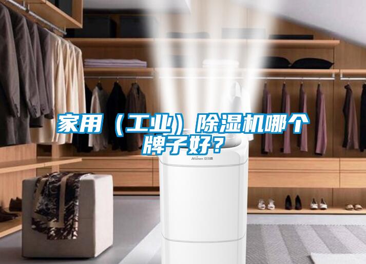 家用(工業(yè))除濕機(jī)哪個(gè)牌子好?