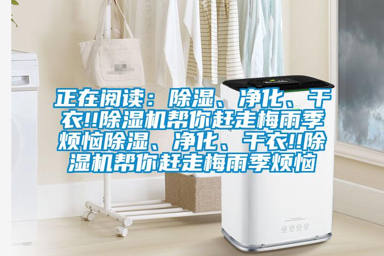 正在閱讀：除濕、凈化、干衣!!除濕機(jī)幫你趕走梅雨季煩惱除濕、凈化、干衣!!除濕機(jī)幫你趕走梅雨季煩惱