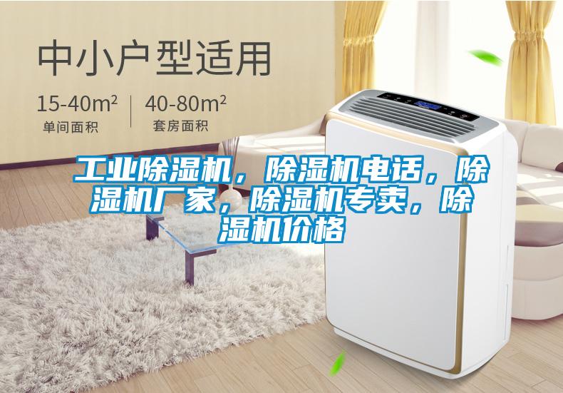 工業(yè)除濕機，除濕機電話，除濕機廠家，除濕機專賣，除濕機價格