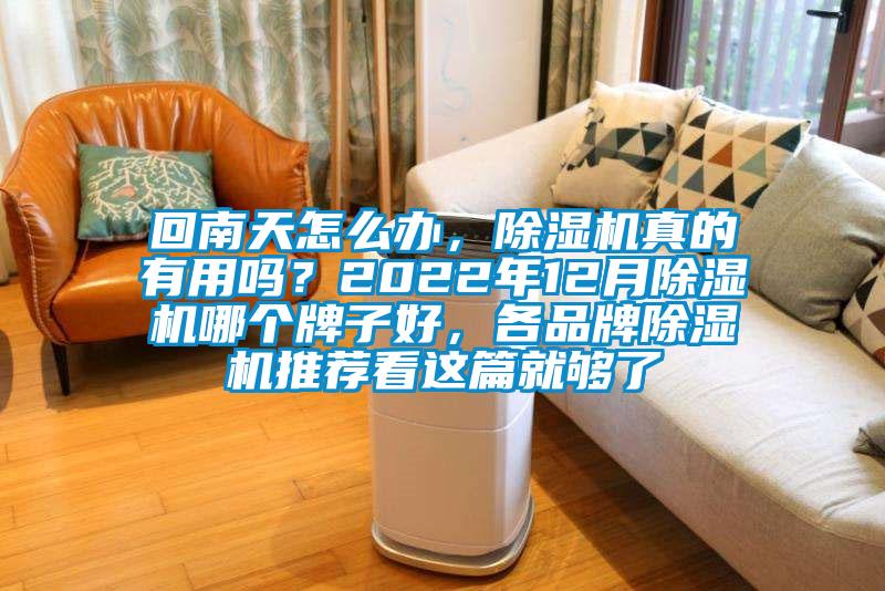 回南天怎么辦，除濕機真的有用嗎？2022年12月除濕機哪個牌子好，各品牌除濕機推薦看這篇就夠了