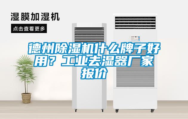 德州除濕機什么牌子好用？工業(yè)去濕器廠家報價