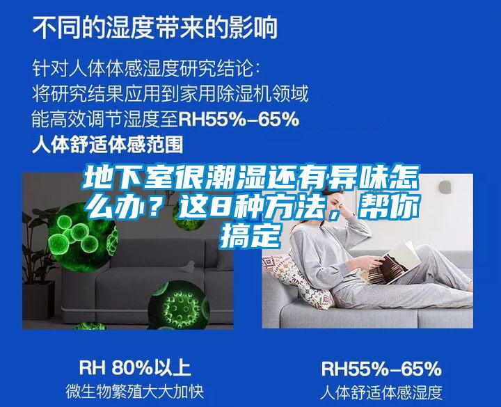 地下室很潮濕還有異味怎么辦？這8種方法，幫你搞定