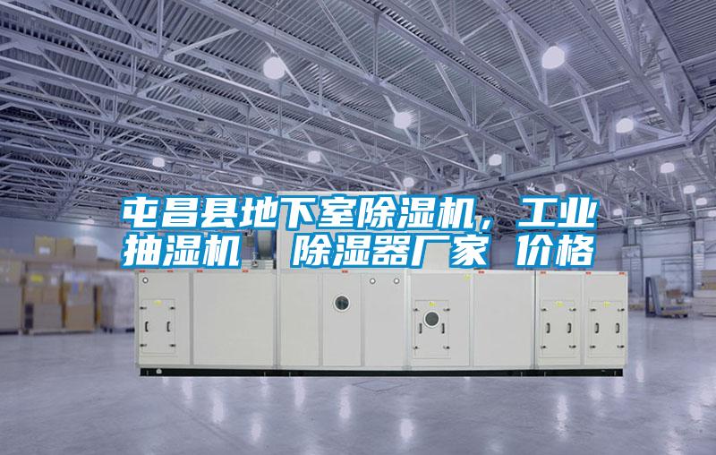 屯昌縣地下室除濕機(jī)，工業(yè)抽濕機(jī)  除濕器廠家 價(jià)格