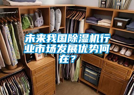 未來我國除濕機行業(yè)市場發(fā)展優(yōu)勢何在？