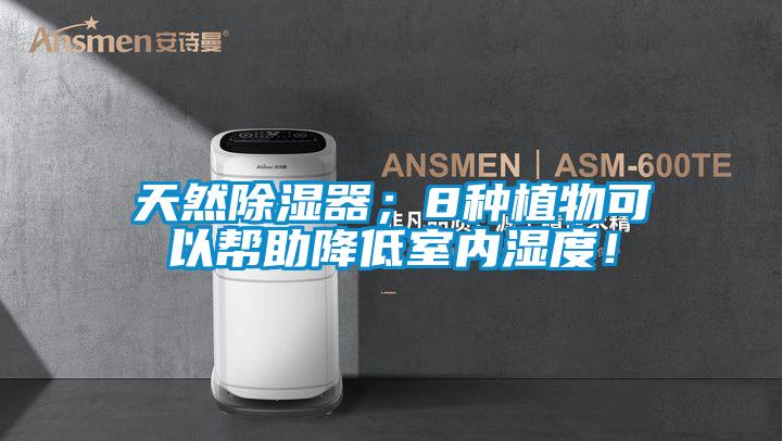 天然除濕器；8種植物可以幫助降低室內(nèi)濕度！