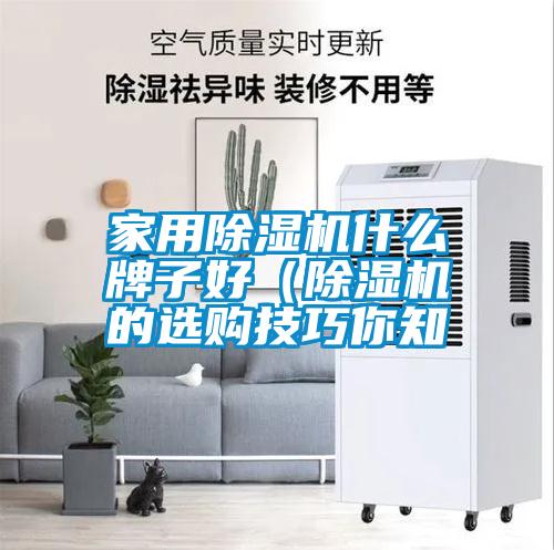 家用除濕機(jī)什么牌子好（除濕機(jī)的選購(gòu)技巧你知