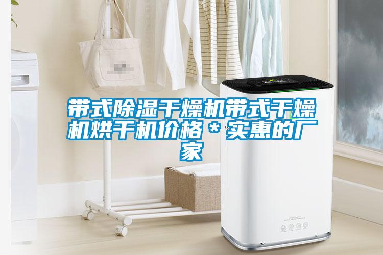 帶式除濕干燥機(jī)帶式干燥機(jī)烘干機(jī)價(jià)格*實(shí)惠的廠家