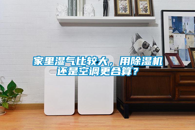 家里濕氣比較大，用除濕機(jī)還是空調(diào)更合算？