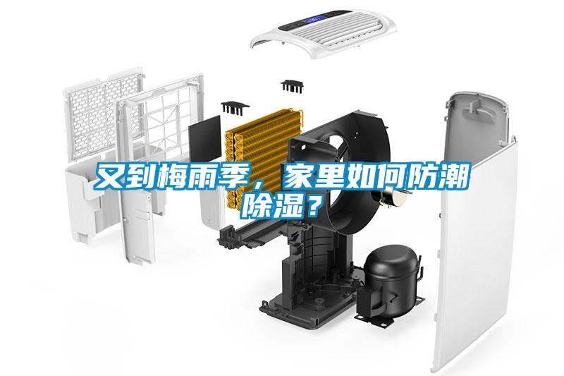 又到梅雨季，家里如何防潮除濕？