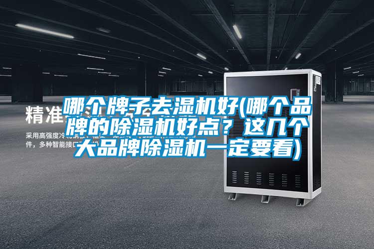 哪個牌子去濕機好(哪個品牌的除濕機好點？這幾個大品牌除濕機一定要看)