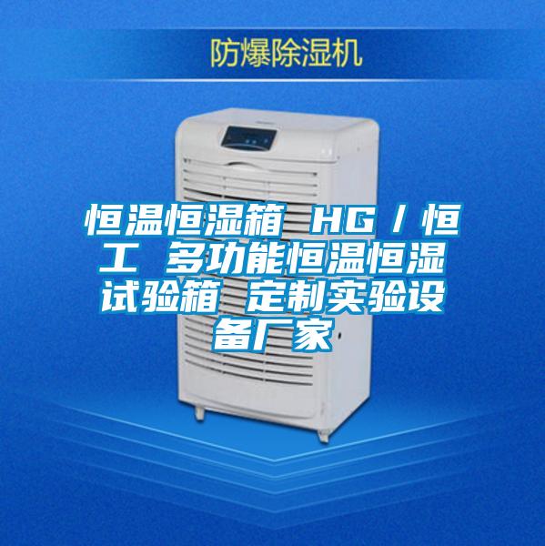 恒溫恒濕箱 HG/恒工 多功能恒溫恒濕試驗箱 定制實驗設(shè)備廠家