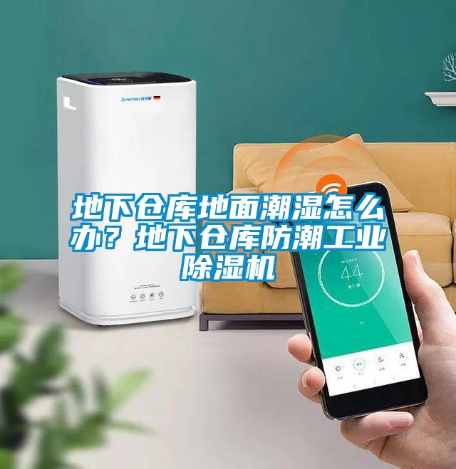 地下倉庫地面潮濕怎么辦？地下倉庫防潮工業(yè)除濕機(jī)