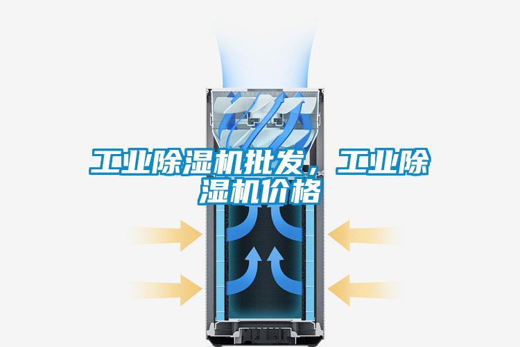 工業(yè)除濕機批發(fā)，工業(yè)除濕機價格