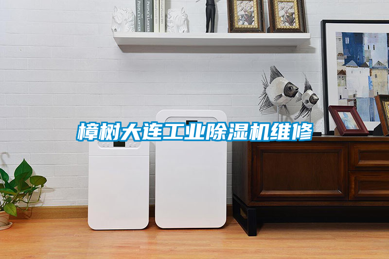 樟樹大連工業(yè)除濕機(jī)維修