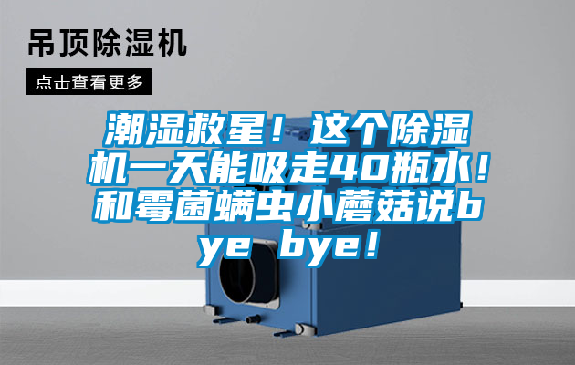 潮濕救星！這個除濕機(jī)一天能吸走40瓶水！和霉菌螨蟲小蘑菇說bye bye！