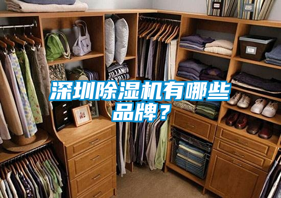深圳除濕機有哪些品牌？
