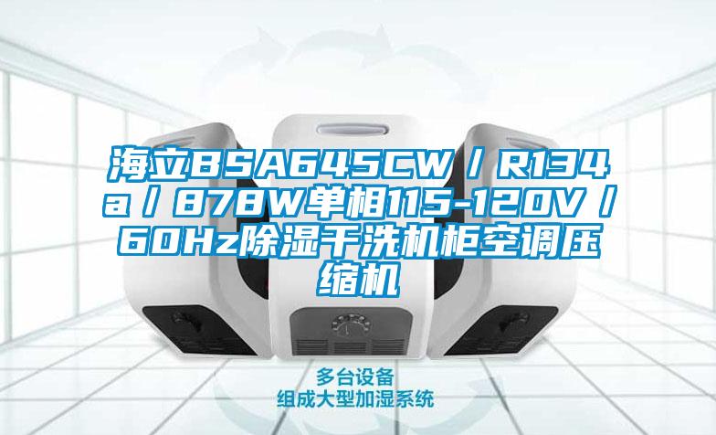 海立BSA645CW/R134a/878W單相115-120V/60Hz除濕干洗機柜空調(diào)壓縮機