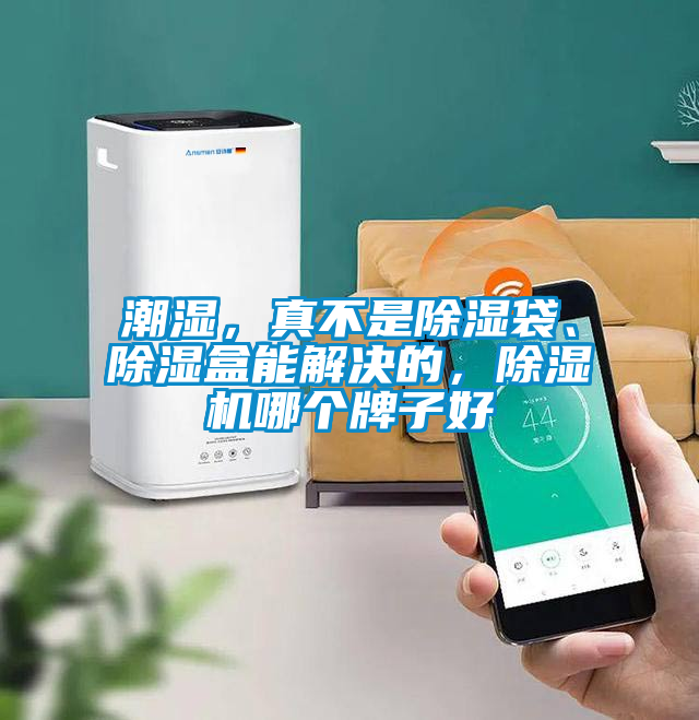 潮濕，真不是除濕袋、除濕盒能解決的，除濕機哪個牌子好