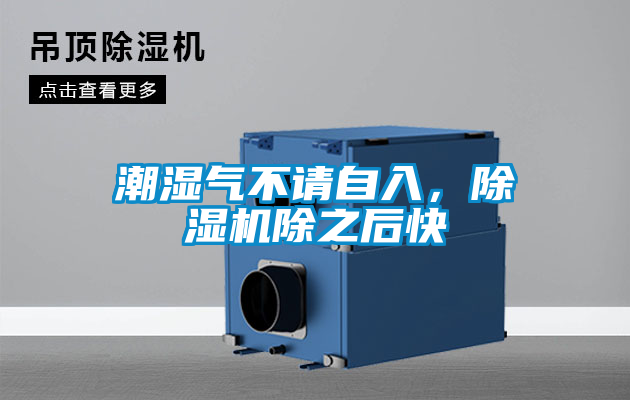 潮濕氣不請(qǐng)自入，除濕機(jī)除之后快