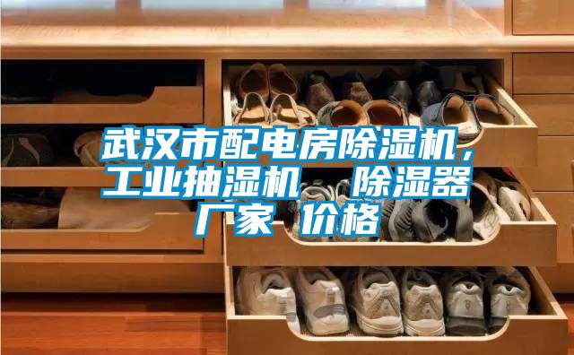 武漢市配電房除濕機，工業(yè)抽濕機  除濕器廠家 價格