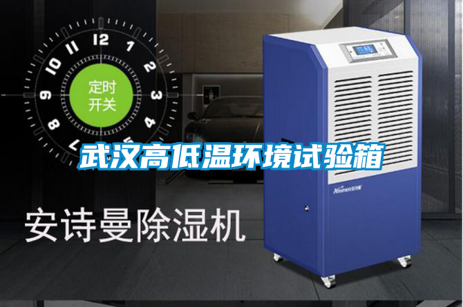 武漢高低溫環(huán)境試驗箱