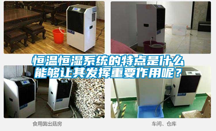 恒溫恒濕系統(tǒng)的特點(diǎn)是什么能夠讓其發(fā)揮重要作用呢？