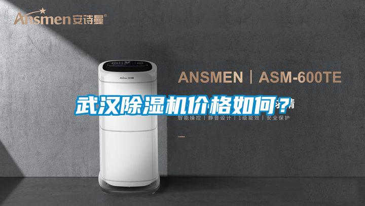 武漢除濕機價格如何？