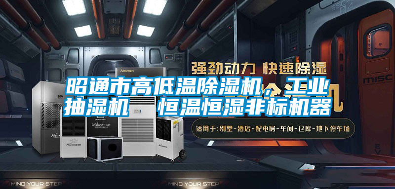 昭通市高低溫除濕機(jī),工業(yè)抽濕機(jī) 恒溫恒濕非標(biāo)機(jī)器