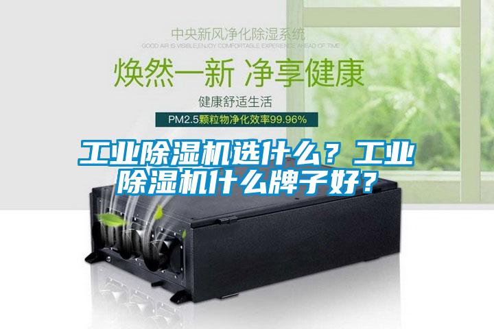 工業(yè)除濕機(jī)選什么？工業(yè)除濕機(jī)什么牌子好？