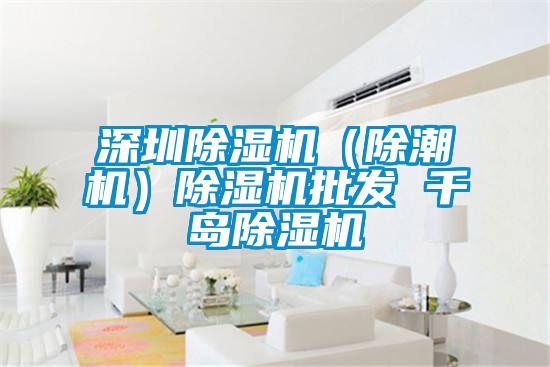 深圳除濕機（除潮機）除濕機批發(fā) 千島除濕機