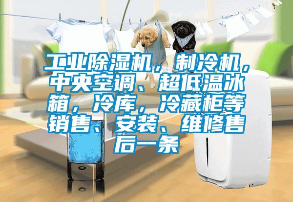 工業(yè)除濕機，制冷機，中央空調(diào)、超低溫冰箱，冷庫，冷藏柜等銷售、安裝、維修售后一條