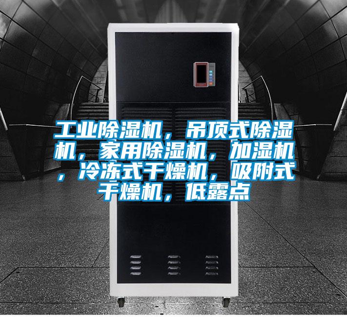 工業(yè)除濕機，吊頂式除濕機，家用除濕機，加濕機，冷凍式干燥機，吸附式干燥機，低露點