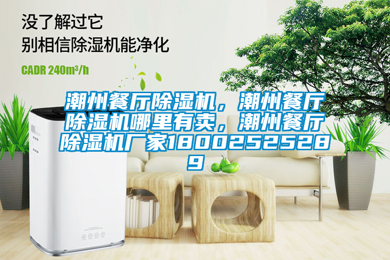 潮州餐廳除濕機(jī)，潮州餐廳除濕機(jī)哪里有賣，潮州餐廳除濕機(jī)廠家18002525289